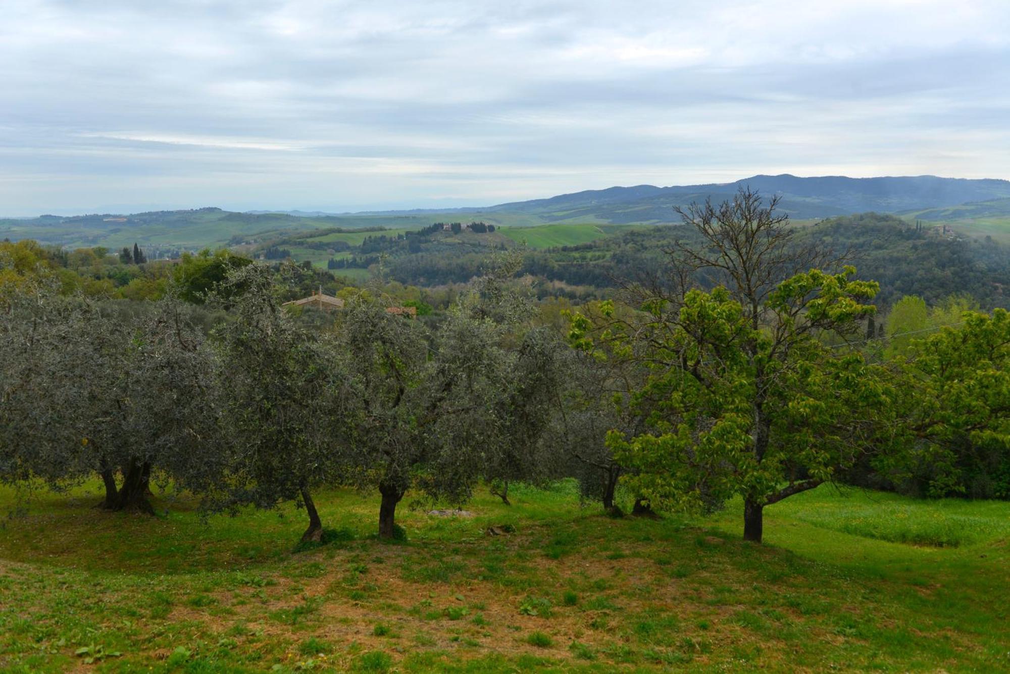 Casa Zeno Appartement Volterra Buitenkant foto